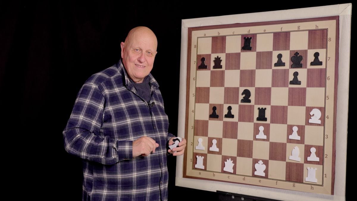 仙之角（国际象棋视频）：大胆，对还是错|仙人的角落